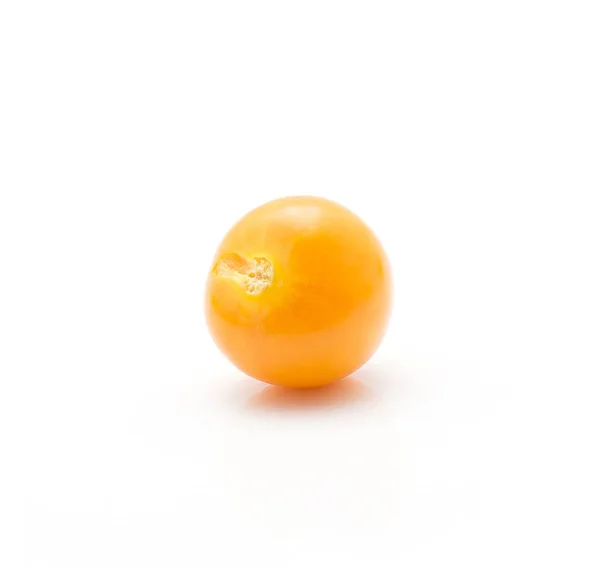 Une Physalide Orange Isolée Sur Fond Blanc — Photo