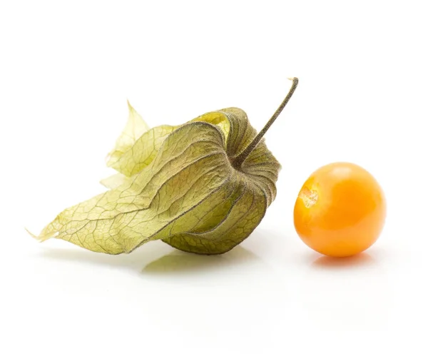 Two Physalis Isolated White Background One Berry Hust One Orange — Stock Photo, Image