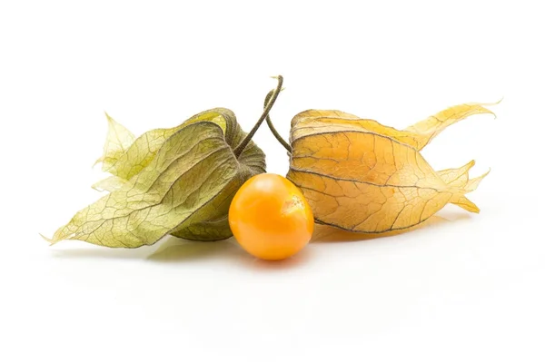 Physalis Isolated White Background One Orange Berr — Stock Photo, Image