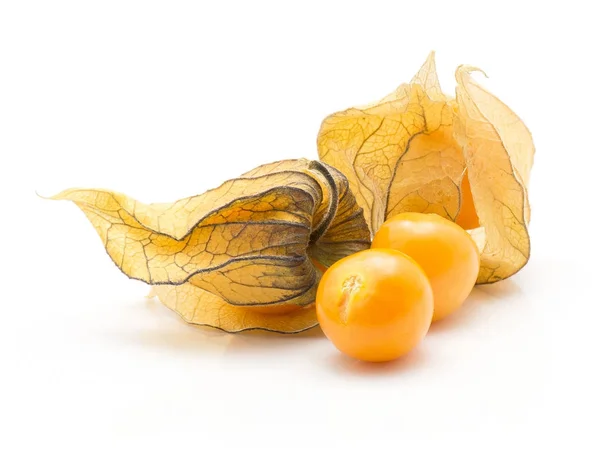 Pilha Physalis Isolado Fundo Branco Duas Bagas Laranja Dois Hus — Fotografia de Stock