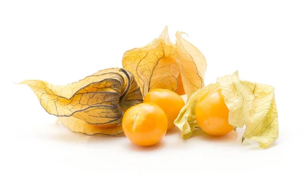 Physalis Stack Isolated White Background Three Orange Berries Lot Hus — Stock Photo, Image