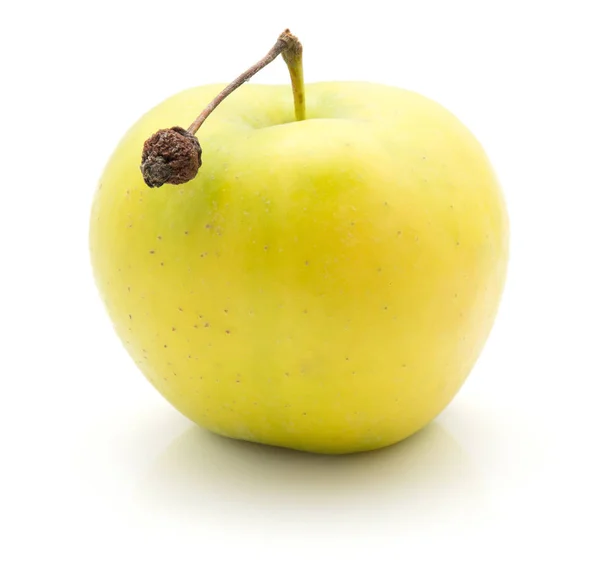 Une Pomme Variété Smeralda Avec Tige Isolée Sur Fond Blanc — Photo