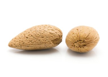 Unshelled badem beyaz arka plan üzerinde iki kahverengi whol izole.