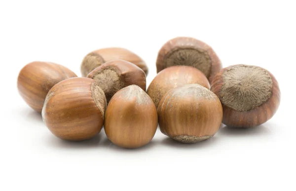 Hazelnuts Unshelled Stack Isolated White Backgroun — Stock Photo, Image