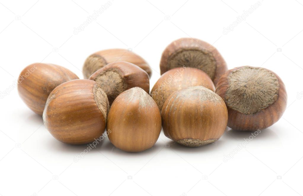 Hazelnuts unshelled stack isolated on white backgroun