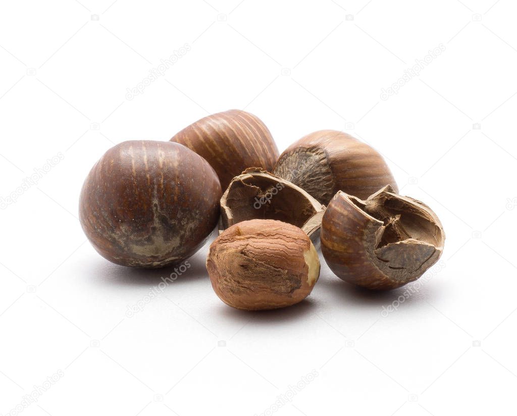 Three unshelled hazelnuts with one shelled and two hollow shell halves isolated on white backgroun