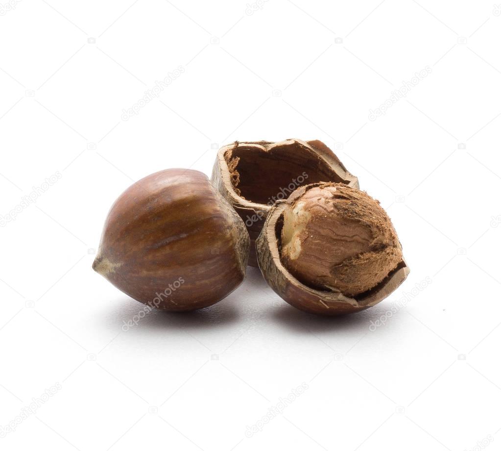 One shelled hazelnut inside a shell and unshelled one isolated on white backgroun
