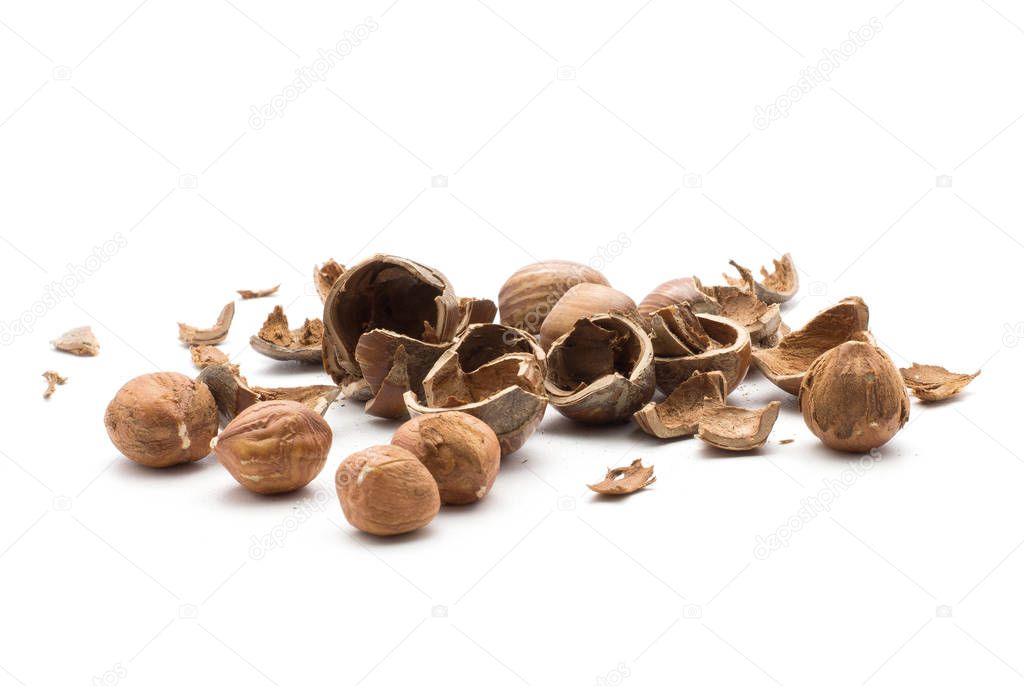 Hazelnut hollow shells stack with separated five shelled nuts isolated on white backgroun