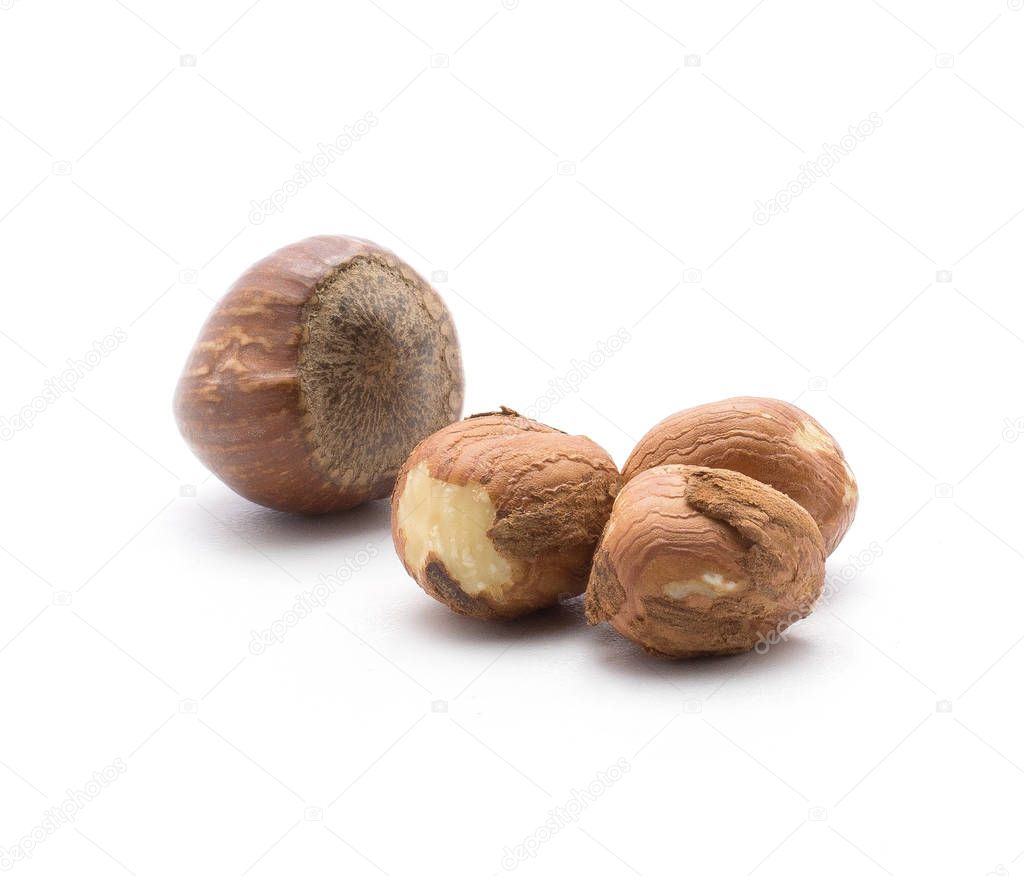 Hazelnuts isolated on white background three shelled one unshelle