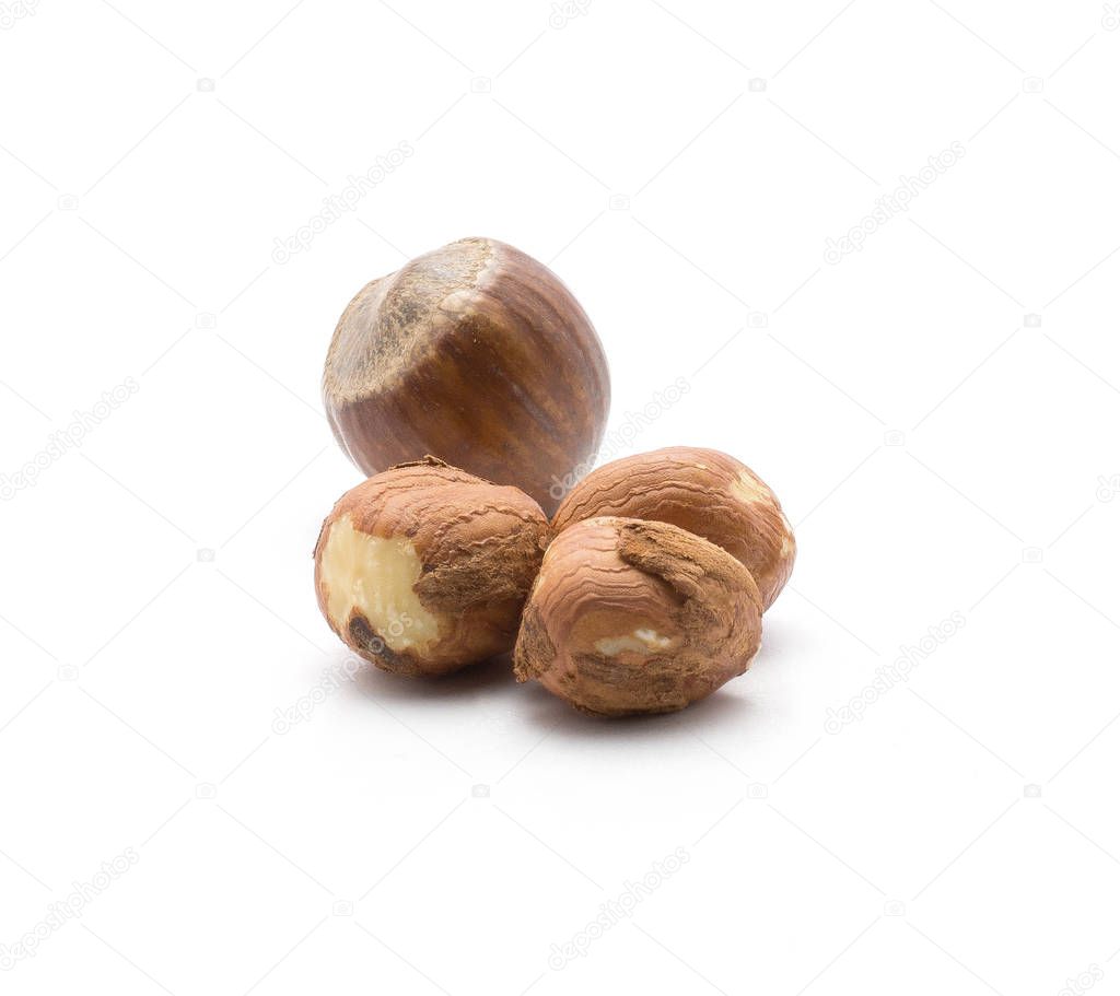 Hazelnuts isolated on white background three shelled and one unshelle