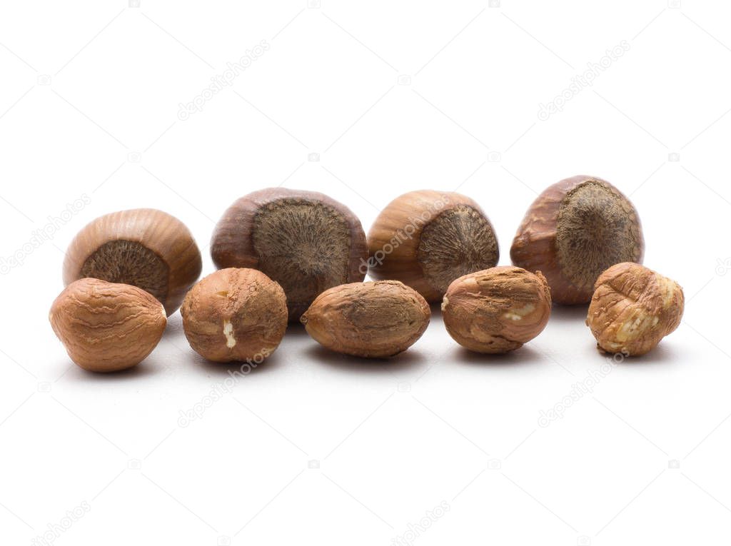 Five shelled hazelnuts and four unshelled in row isolated on white backgroun