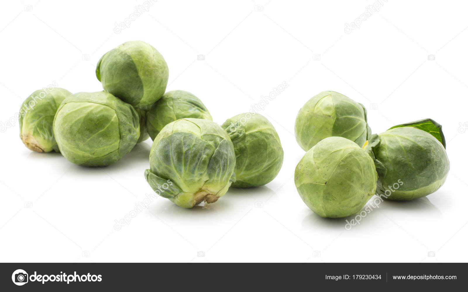 sprout head