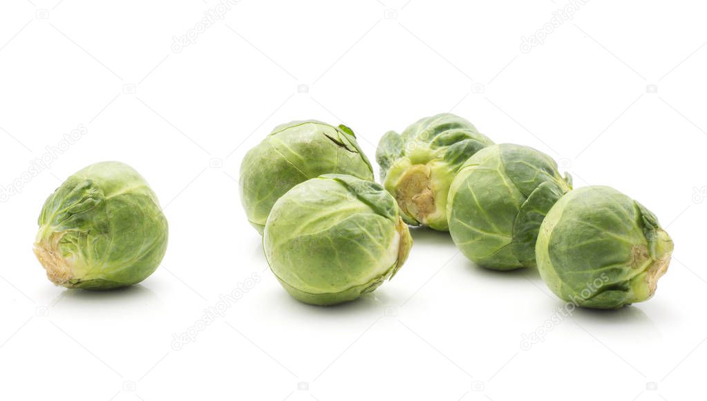 Brussels sprout isolated on white background fresh five head