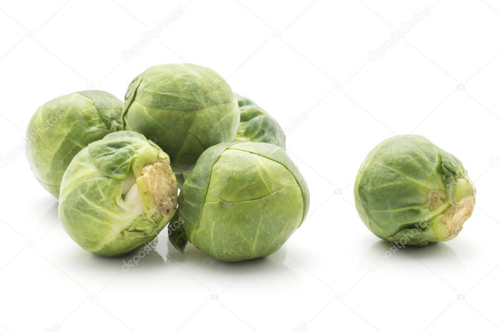 Brussels sprout isolated on white background fresh raw head