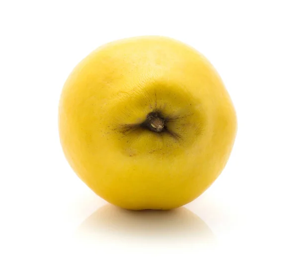 Одна Желтая Айва Стеблем Белом Фоне Сырой Спелый — стоковое фото