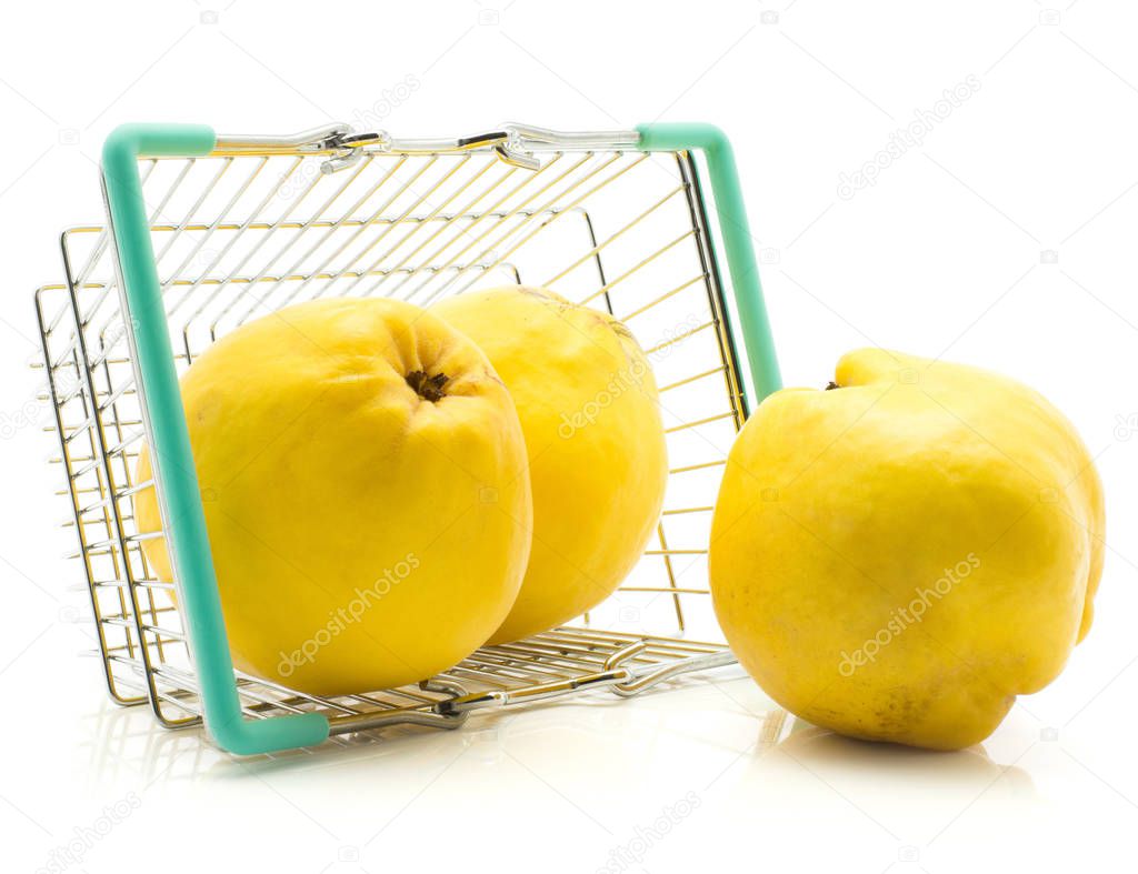 Three yellow quince in a shopping basket isolated on white background raw fresh