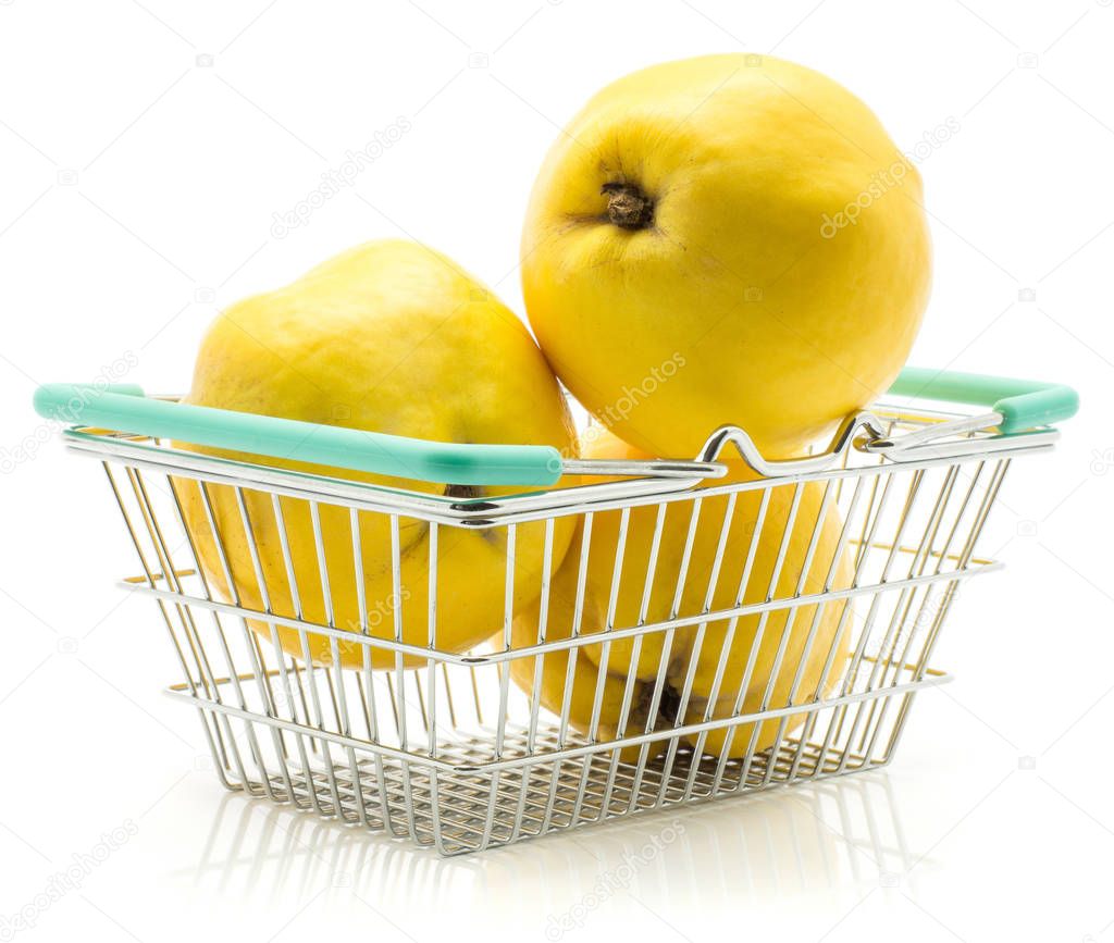 Three yellow quince in shopping basket isolated on white background raw fresh
