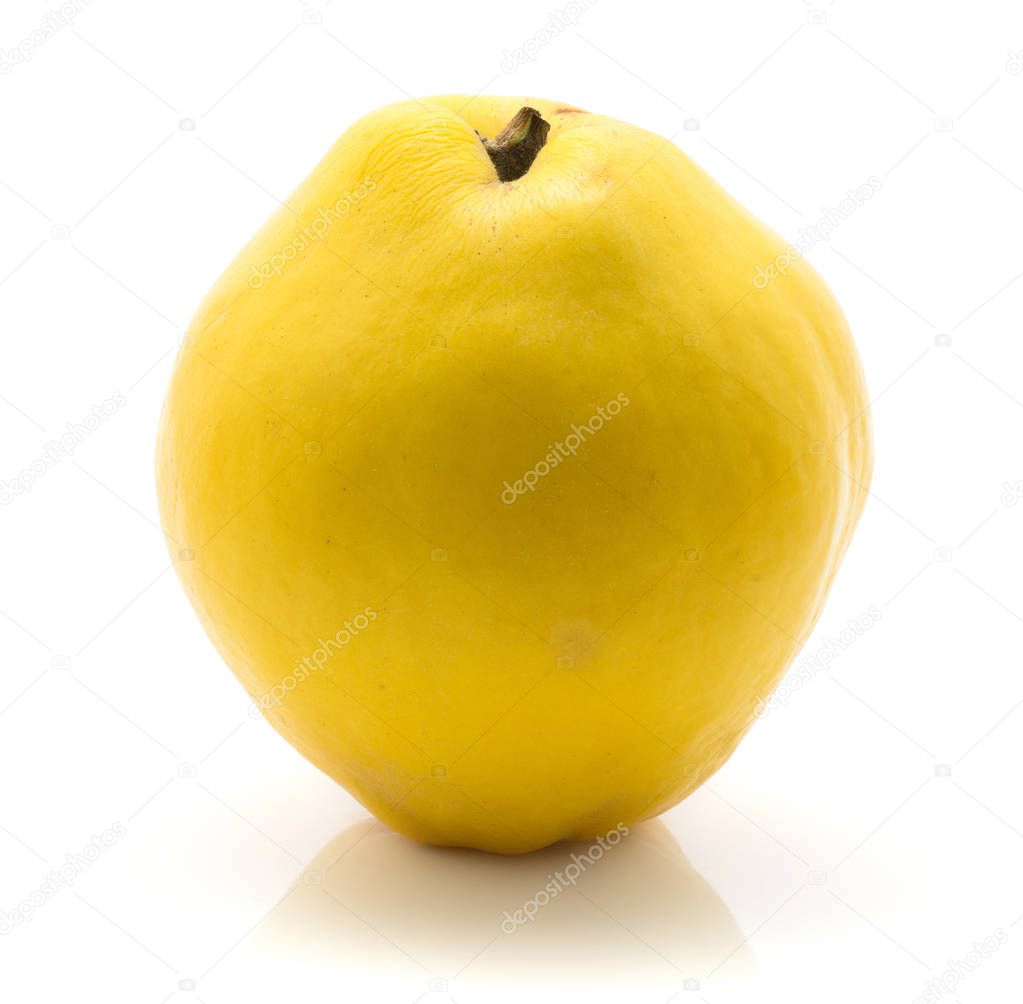 One yellow quince isolated on white background raw ripe fresh