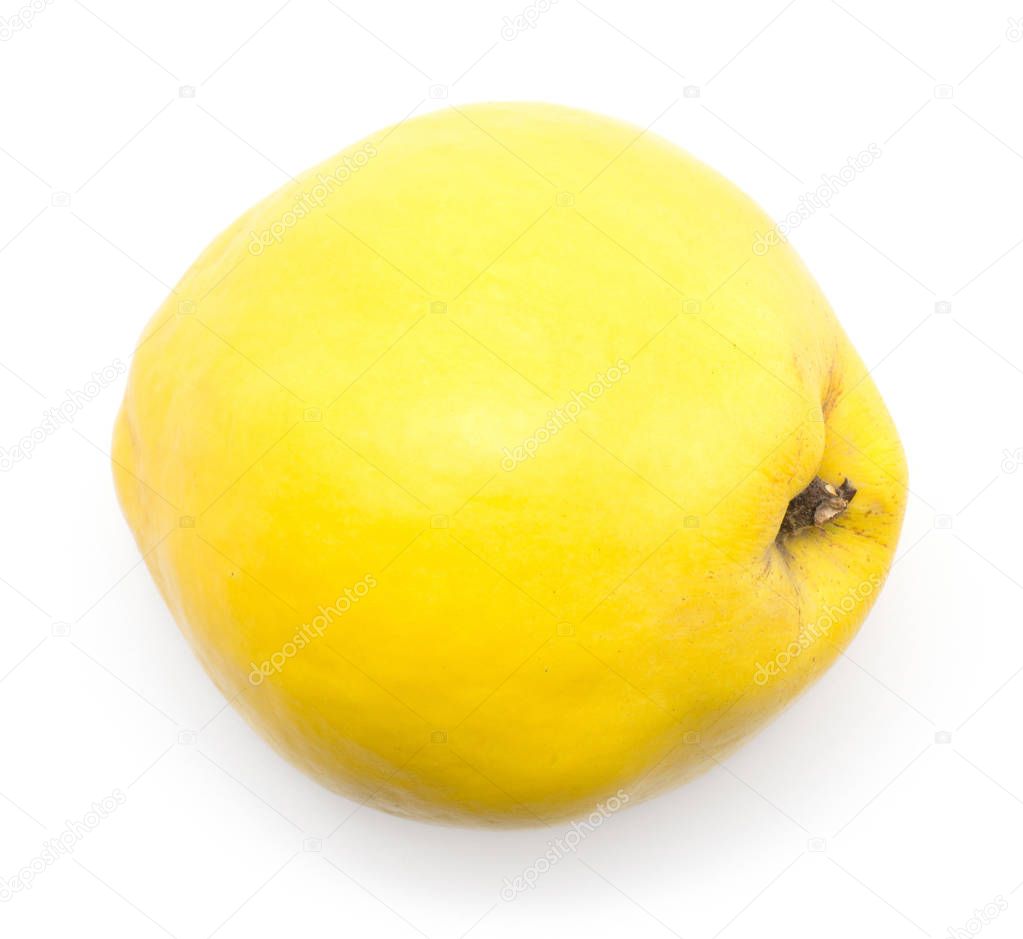 Yellow quince top view isolated on white background ripe raw