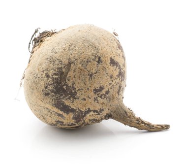 Pancar (çiğ kırmızı pancar) beyaz arka plan üzerinde bir bul izole.