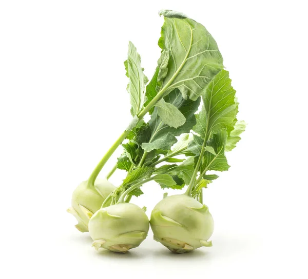 Kohlrabi Rapa Tedesca Cavolo Rapa Tre Bulbi Con Foglie Lunghe — Foto Stock