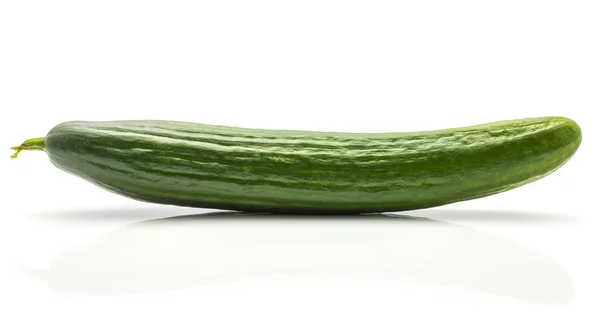 One European Cucumber Burpless Seedless Hothouse Gourmet Greenhouse English Isolated — Stock Photo, Image