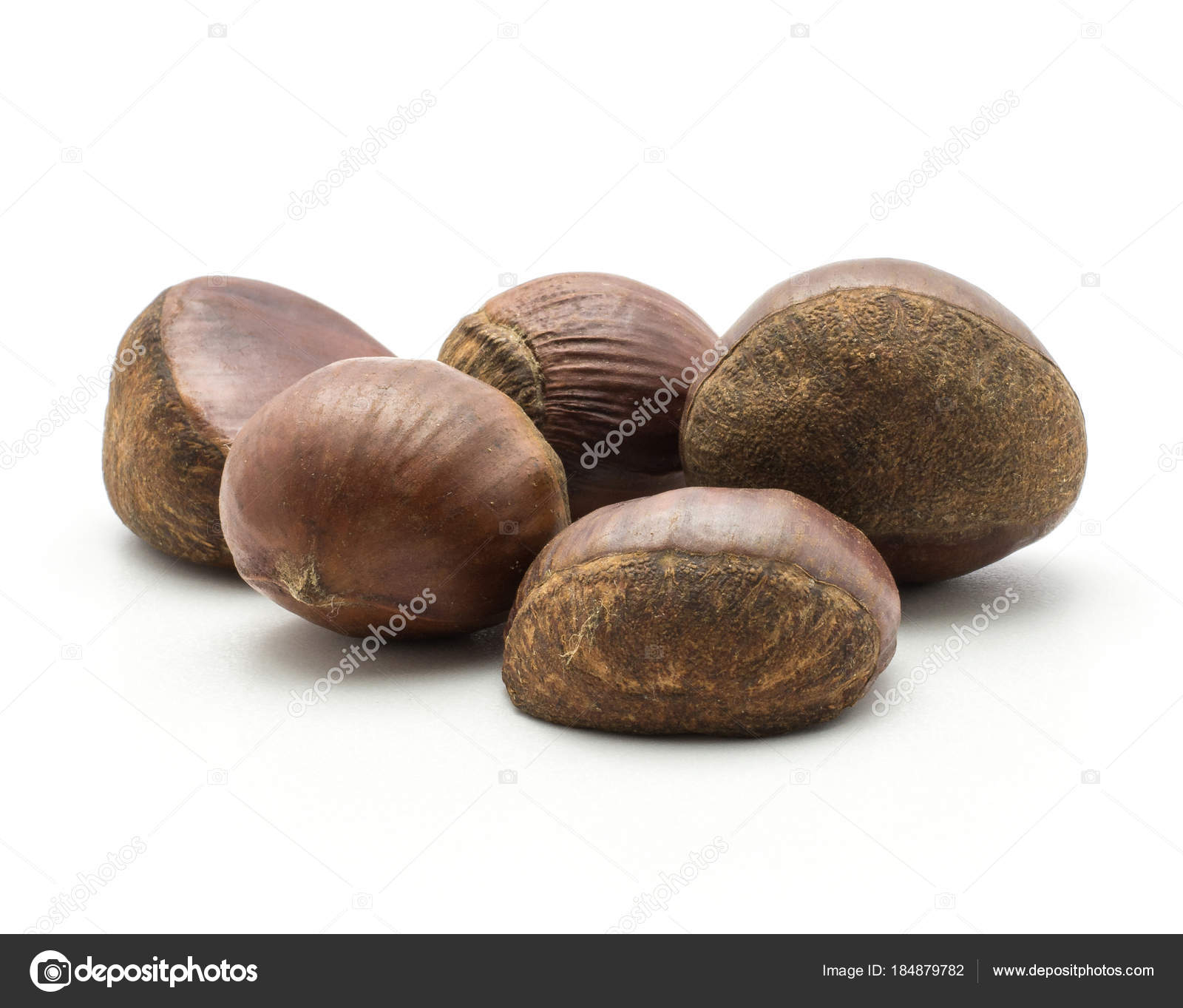 Five European Chestnuts Set Spanish Edible Isolated White Background