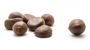 Avrupa kestane beyaz zemin üzerine İspanyol yenilebilir ham taze kahverengi fındık izole.