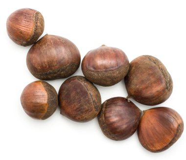 Avrupa kestane İspanyol yenilebilir izole üzerinde beyaz arka plan ham taze kahverengi fındık top vie