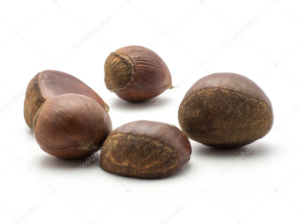 European chestnuts five Spanish edible isolated on white background raw fresh brown nut