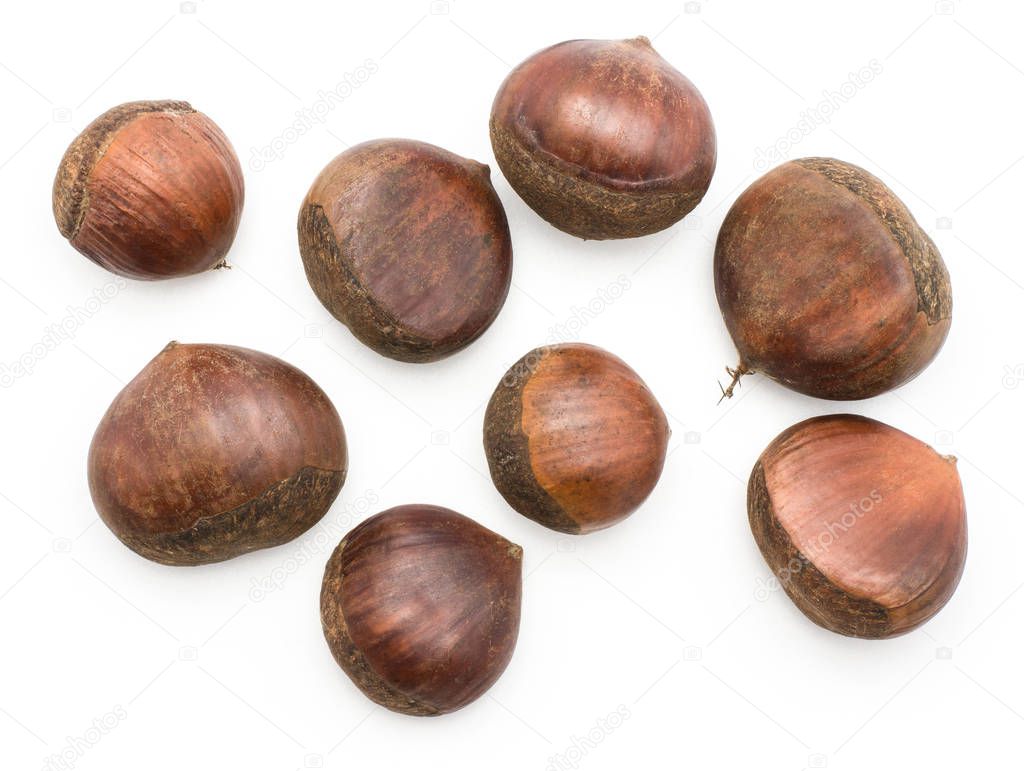European chestnuts top view Spanish edible isolated on white background raw fresh brown nut