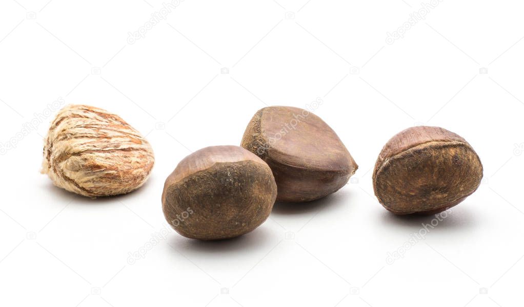 Four European chestnuts isolated on white background one Spanish edible peeled raw fresh brown nut