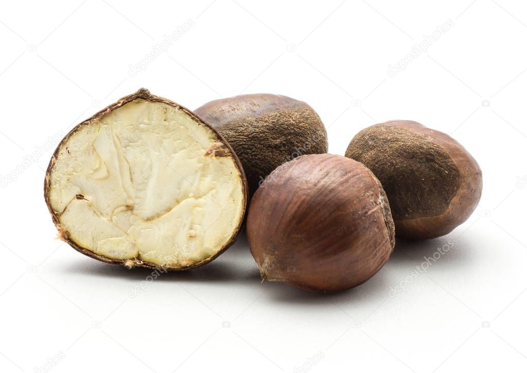 Three European chestnuts and one section half isolated on white background Spanish edible raw fresh brown nuts with creamy fles
