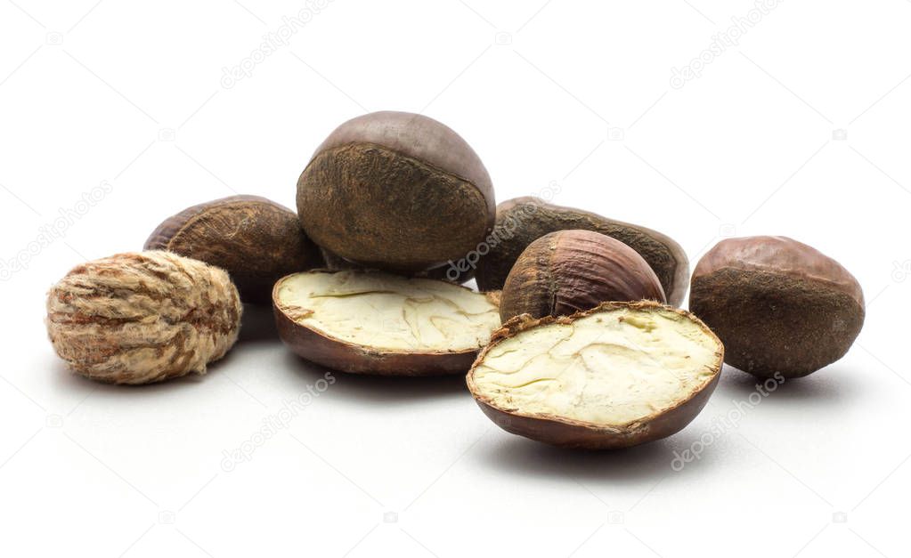 European chestnuts two halves Spanish edible and one peel isolated on white background raw fresh brown nut
