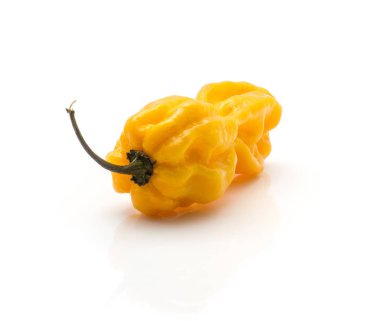Beyaz adam izole bir Habanero biber sarı sıcak biber