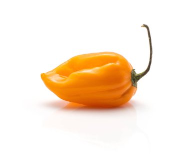 Habanero chili one deep orange hot pepper isolated on white backgroun clipart