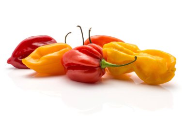 Renkli Habanero biber yığını beyaz arka plan üzerinde beş sarı biber kırmızı orang izole.