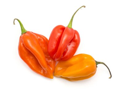 Üç Habanero biber üstten görünüm beyaz arka plan sarı turuncu kırmızı acı biber üzerinde izole