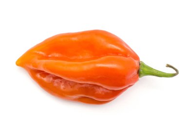 Bir Habanero biber üstten görünüm kırmızı turuncu-acı biber beyaz arka plan üzerinde izole