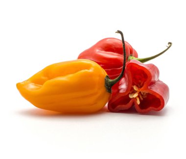 İki Habanero biber kırmızı ve turuncu ile ve yarı beyaz arka plan üzerinde izole bir kırmızı Çin peppe sıcak