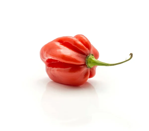 Habanero Chili Röd Peppar Isolerad Vita Bak — Stockfoto