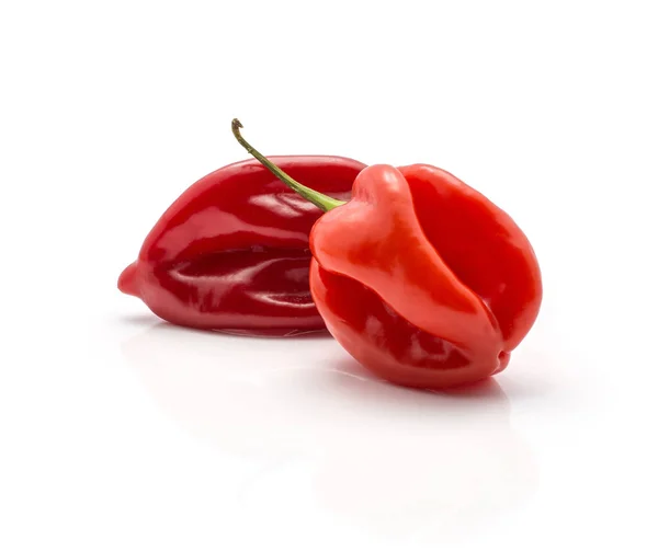 Dwa Papryka Habanero Chili Red Hot Białym Tle Białym Tle — Zdjęcie stockowe