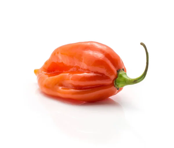 Habanero Chili Orange Röd Peppar Isolerad Vita Bak — Stockfoto