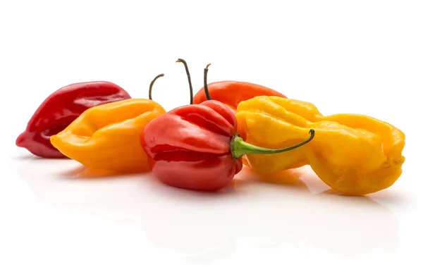 Colourful Habanero Chili Stack Isolated White Background Five Hot Peppers — Stock Photo, Image
