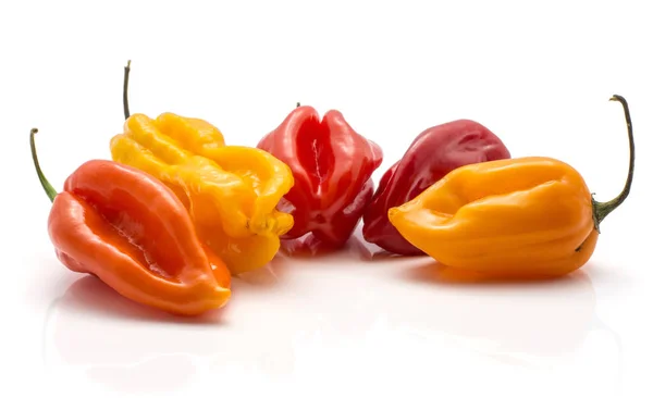 Colourful Habanero Chili Collection Isolated White Background Five Hot Peppers — Stock Photo, Image