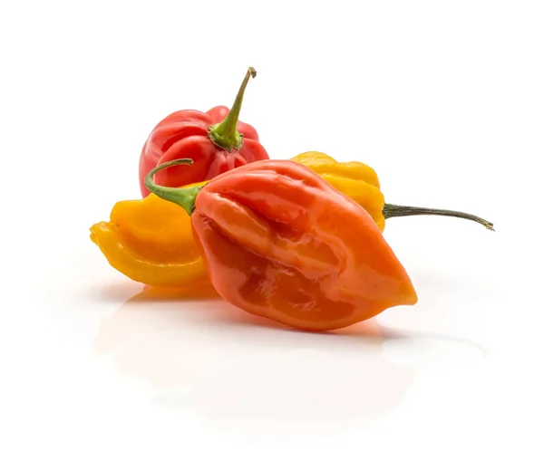 Tre Habanero Chili Isolerad Vit Bakgrund Gul Orange Röd Peppar — Stockfoto