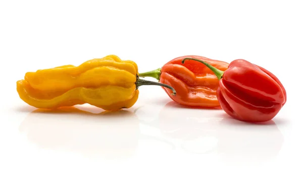 Three Habanero Chili Yellow Orange Red Hot Peppers Isolated White — Stock Photo, Image