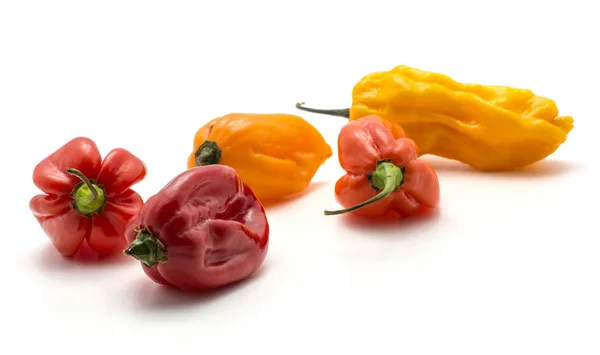 Habanero Chili Five Red Orange Yellow Hot Peppers Isolated White — Stock Photo, Image