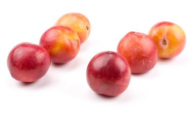 Ro, beyaz arka plan üzerinde izole altı Erik kırmızı turuncu