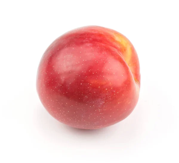 Plum Arancio Rosso Isolato Sfondo Bianco Uno Fresco Lucido — Foto Stock